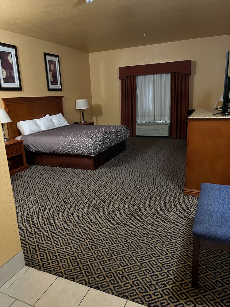 Single Room, 1 King Bed photo 1