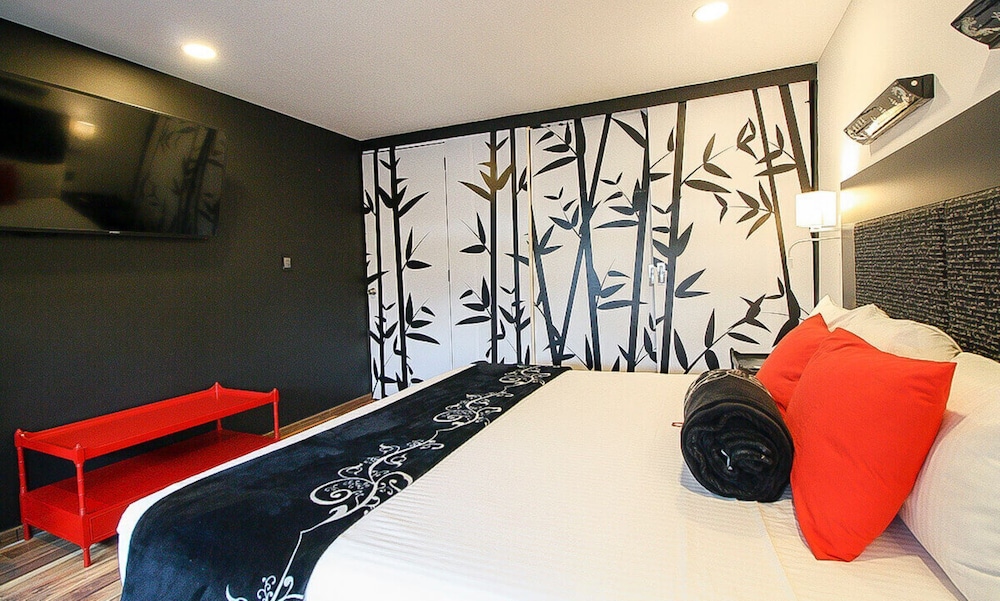 Suite - Photo 2