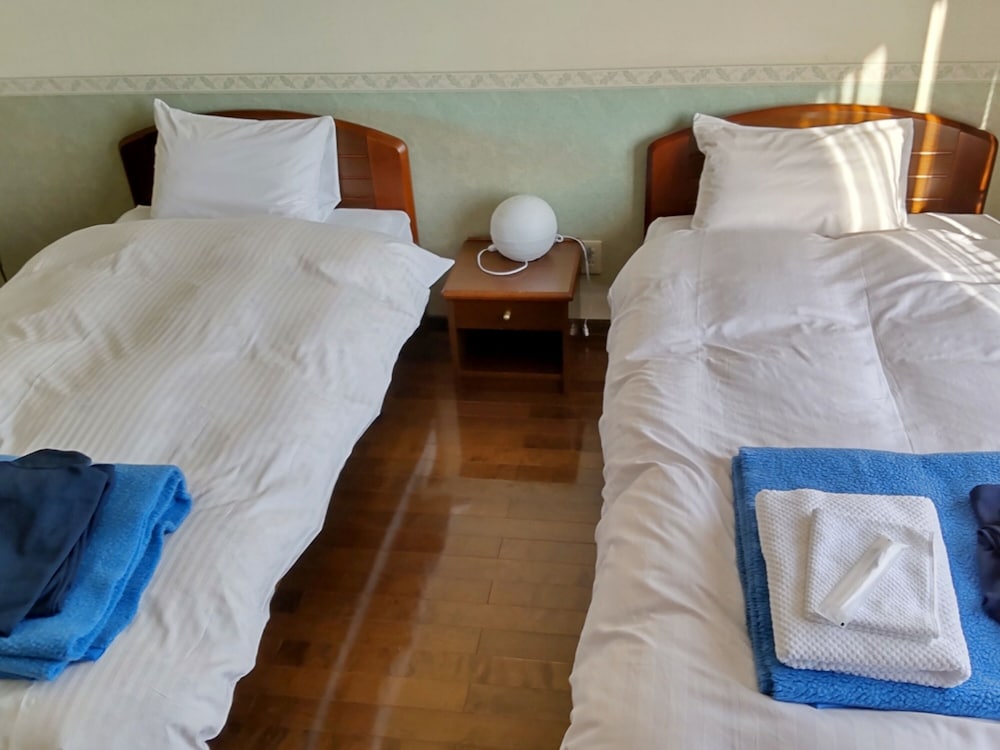 Twin Room, Non Smoking, Mountain View photo 2