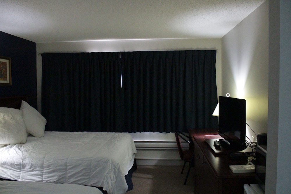 Room, 1 King Bed, Refrigerator & Microwave photo 3