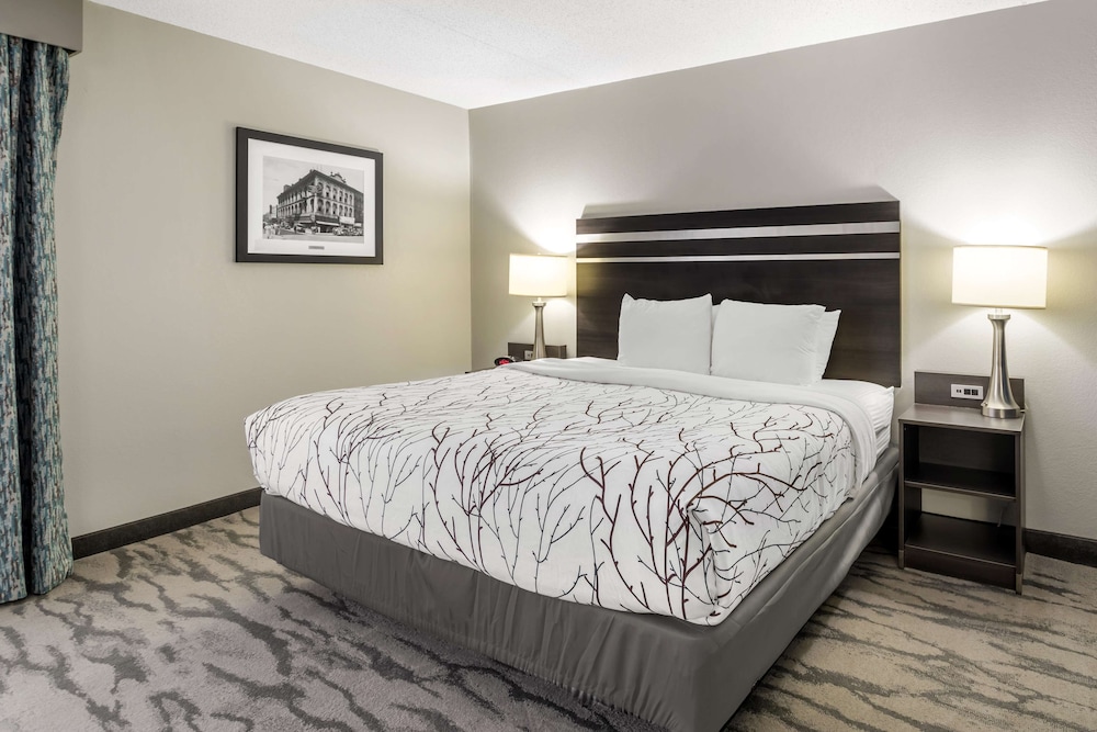 Suite, 1 King Bed, Non Smoking, Refrigerator & Microwave (Living Room;with Sofabed) - Photo 2