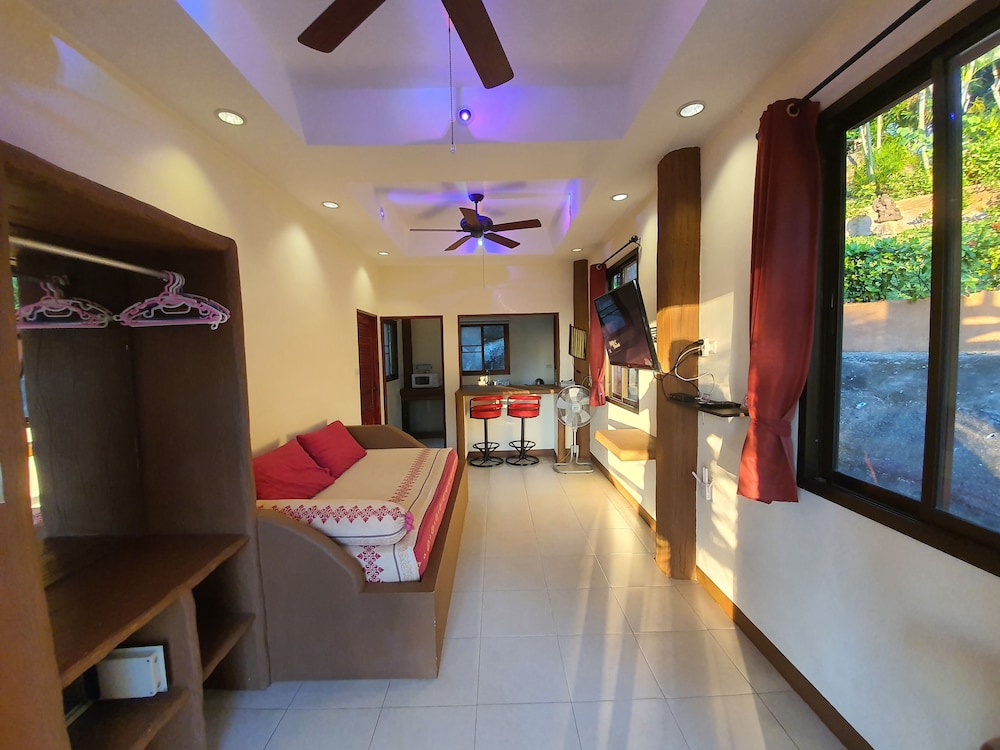 Big Studio Apartment photo 2