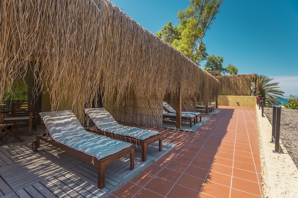 Terrace Suite