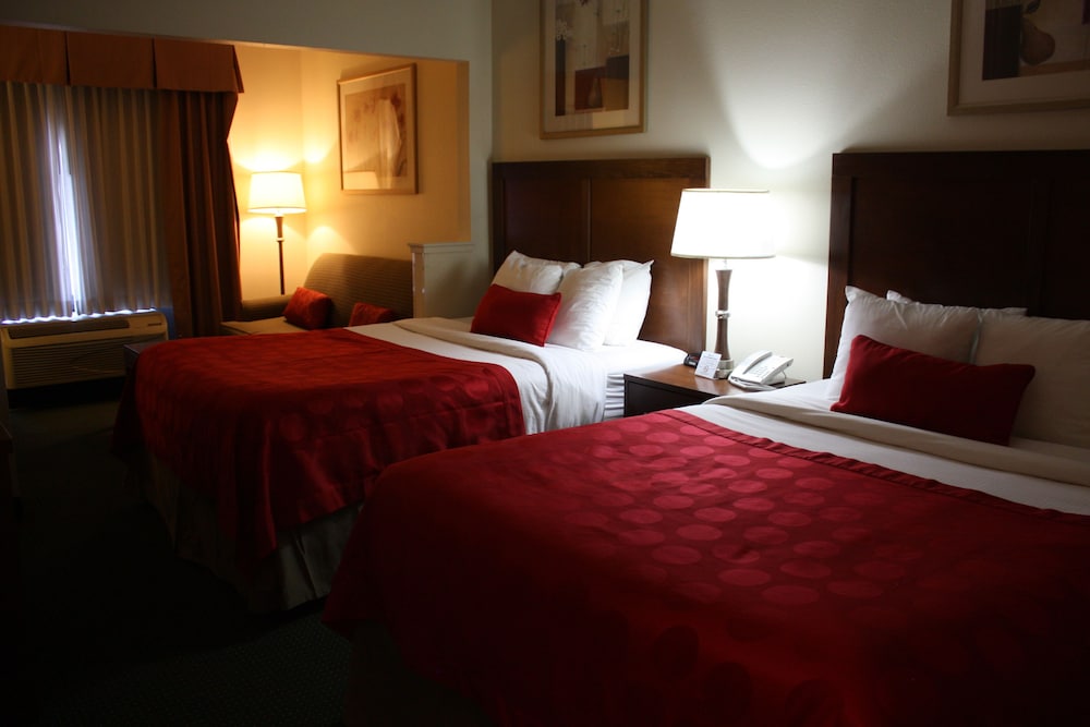 Studio Suite, 2 Queen Beds, Non Smoking - Photo 3