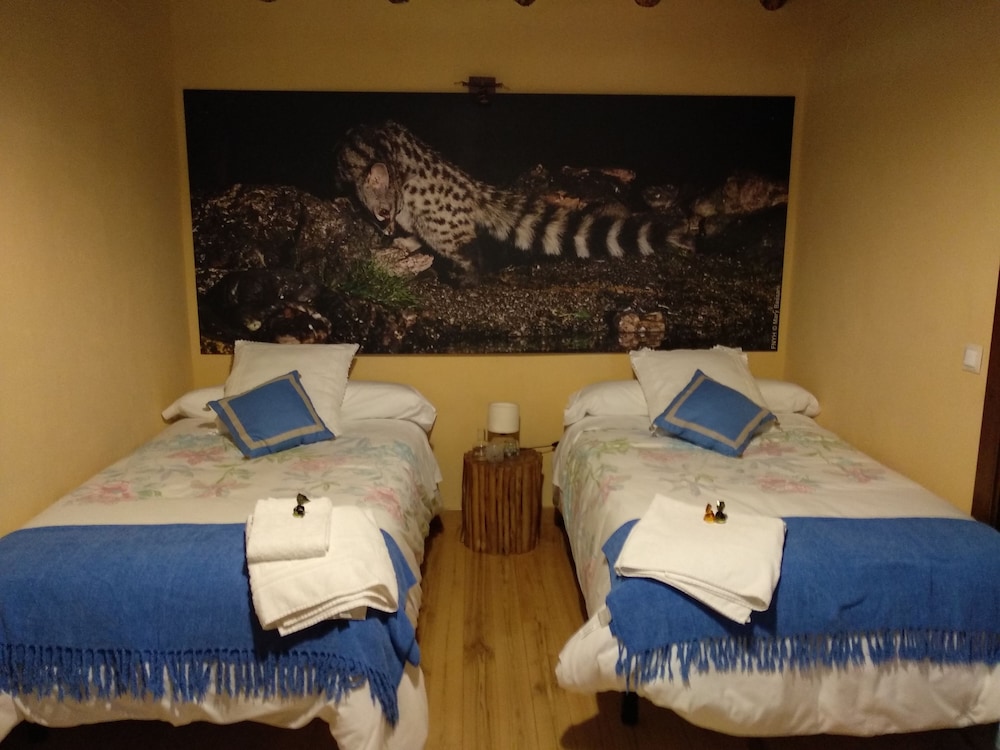 Comfort Double Room, Private Bathroom photo 3