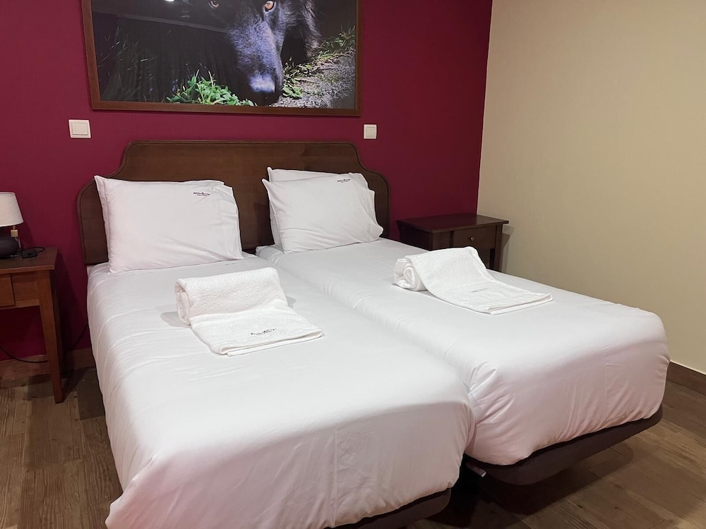 Basic Twin Room photo 1