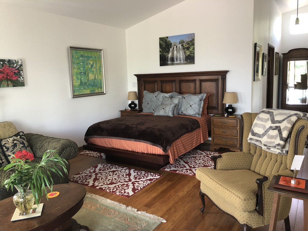 Luxury Suite, 1 King Bed photo 3