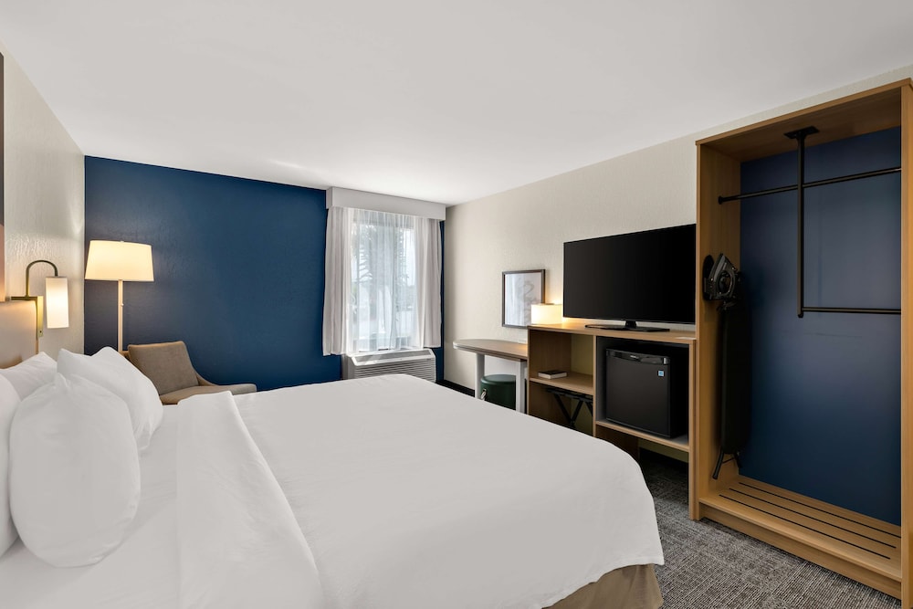 Room, 1 King Bed, Accessible, Bathtub (Mobility & Hearing) - Photo 6
