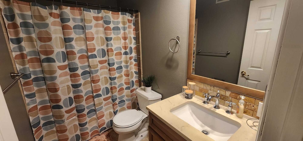 Elite Single Room, 1 Queen Bed photo 2