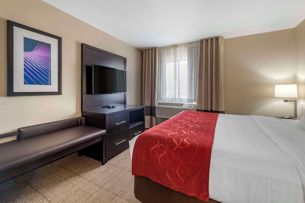 Suite, 1 King Bed with Sofa bed, Non Smoking - Photo 1
