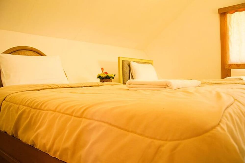 DNA Villa photo 2