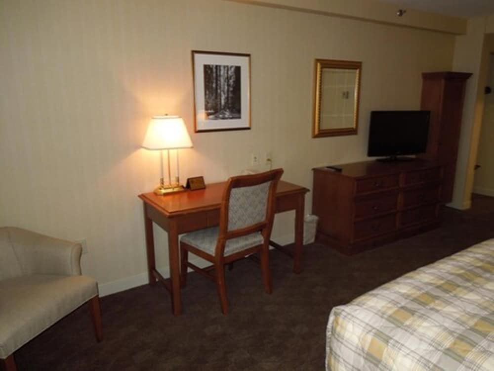 Standard Double Room photo 2
