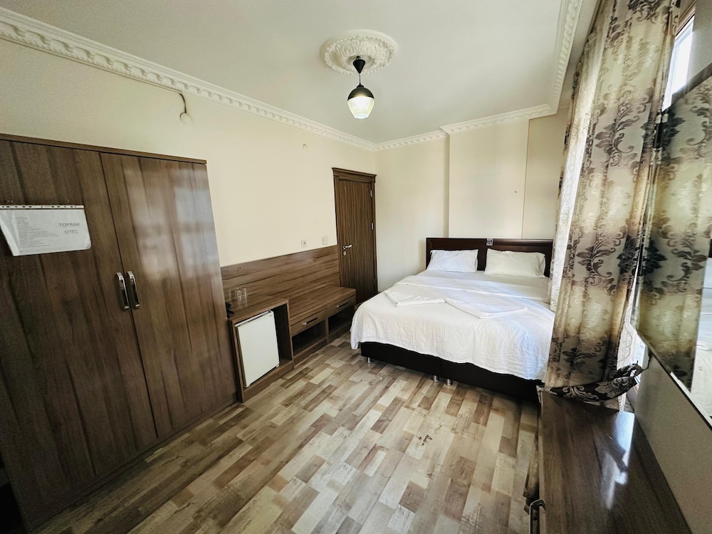 Deluxe Room, 1 Queen Bed, Non Smoking, City View photo 2