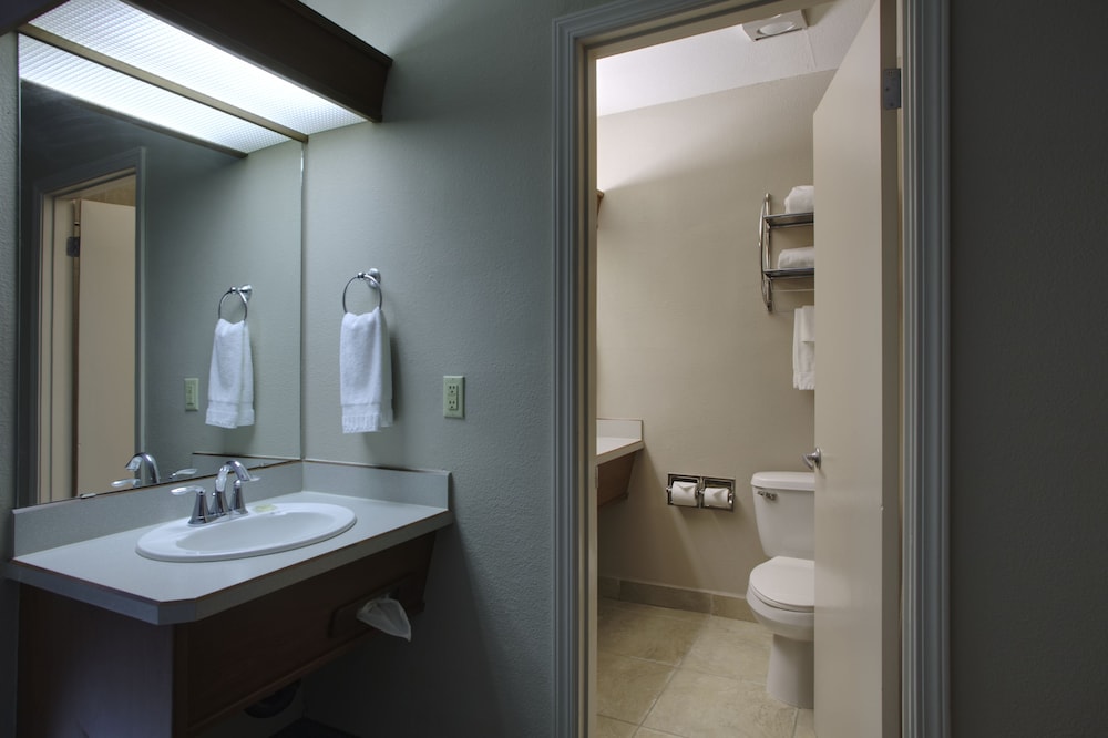 Suite, 1 King Bed, Balcony, Courtyard View - Photo 9