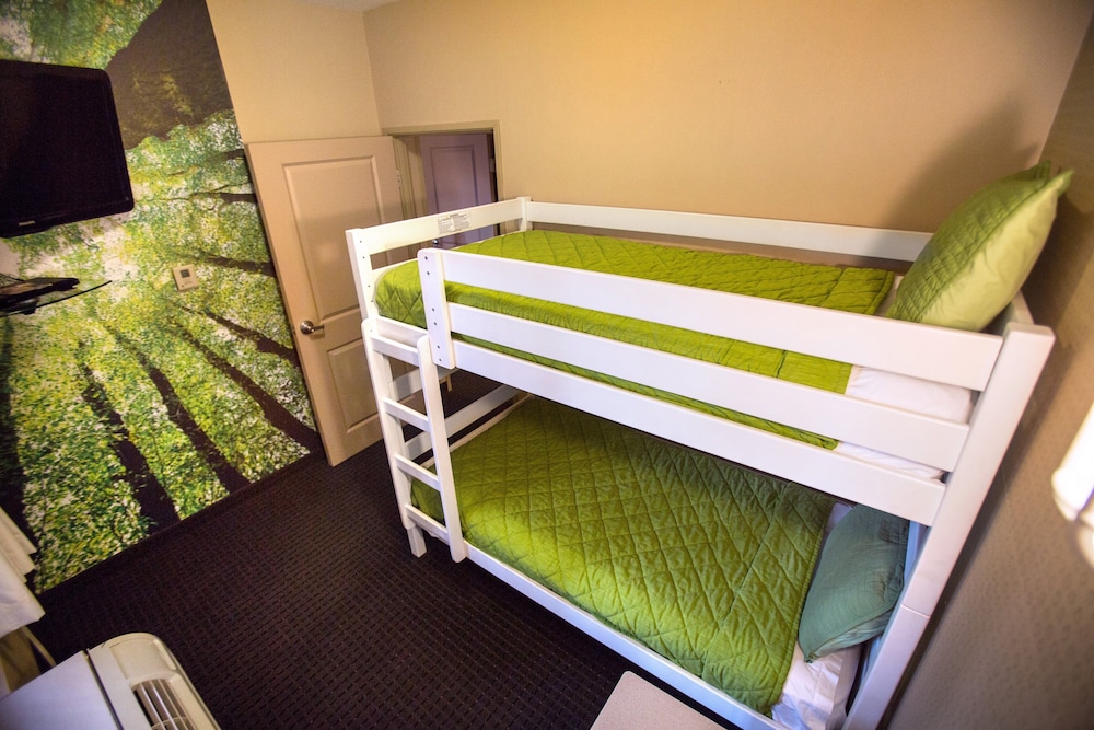 Suite, 1 Bedroom photo 1