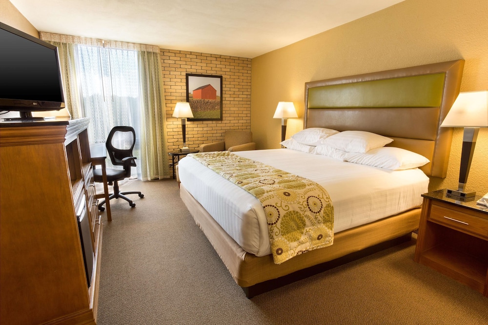 Deluxe Room, 1 King Bed, Refrigerator & Microwave