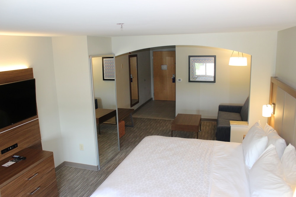 Suite, 1 King Bed - Photo 4