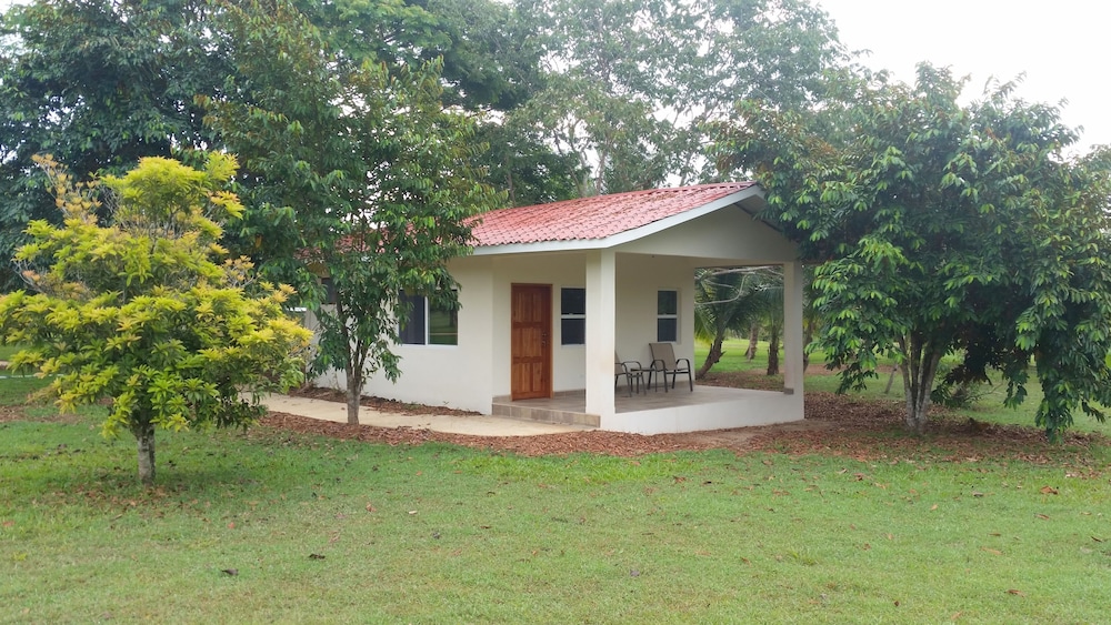Executive Chalet, 1 King Bed, Garden View, Garden Area photo 3