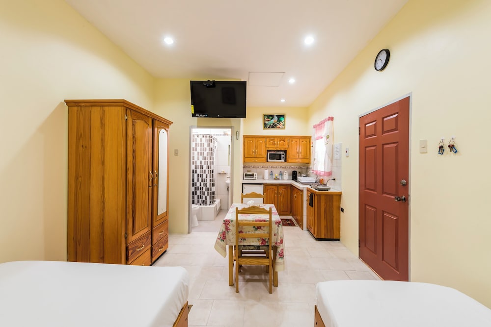 Studio Apartment, 1 Bedroom, Kitchen photo 3