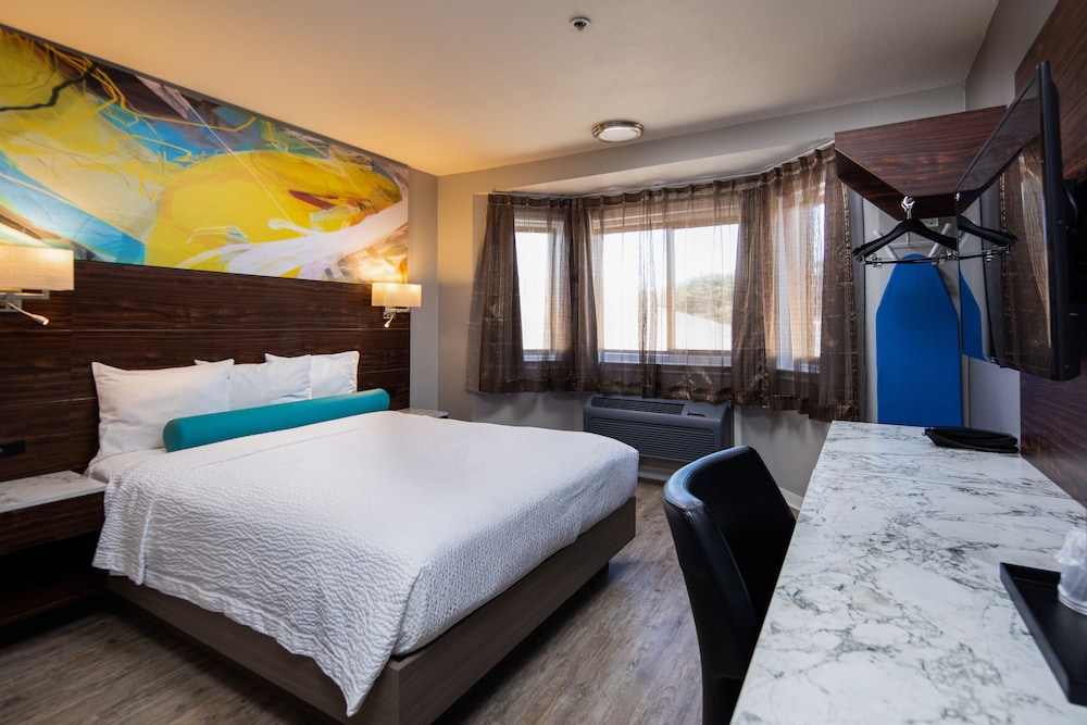 Standard Single Room, 1 Queen Bed, Accessible, Non Smoking photo 1