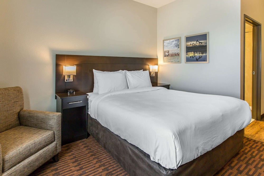 Room, 1 Queen Bed, Accessible, Non Smoking (Efficiency) photo 1