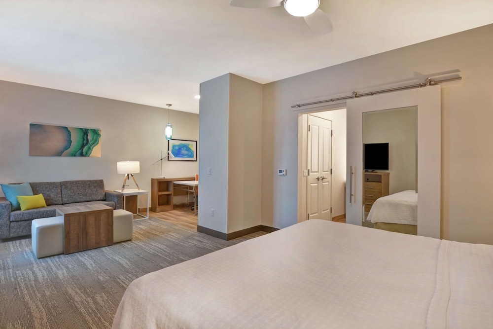 Studio, 1 King Bed, Accessible (Roll-In Shower) photo 1