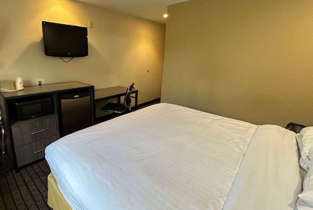 Room, 1 Queen Bed - Photo 2