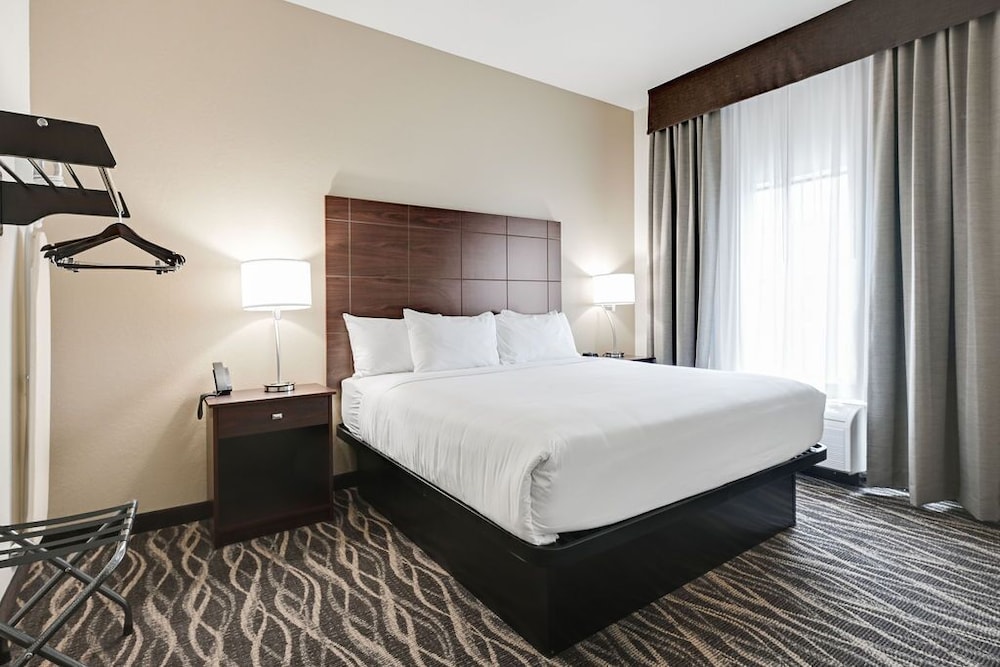 Suite, 1 King Bed with Sofa bed, Non Smoking (with Audible/Visual Alert) - Photo 7