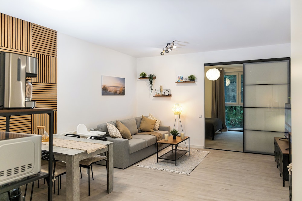 Comfort Apartment, 1 King Bed with Sofa bed