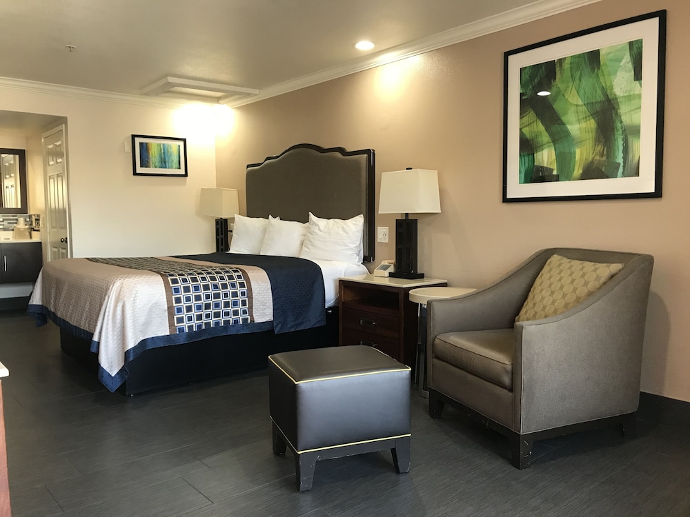 Economy Single Room, 1 King Bed, Accessible photo 1