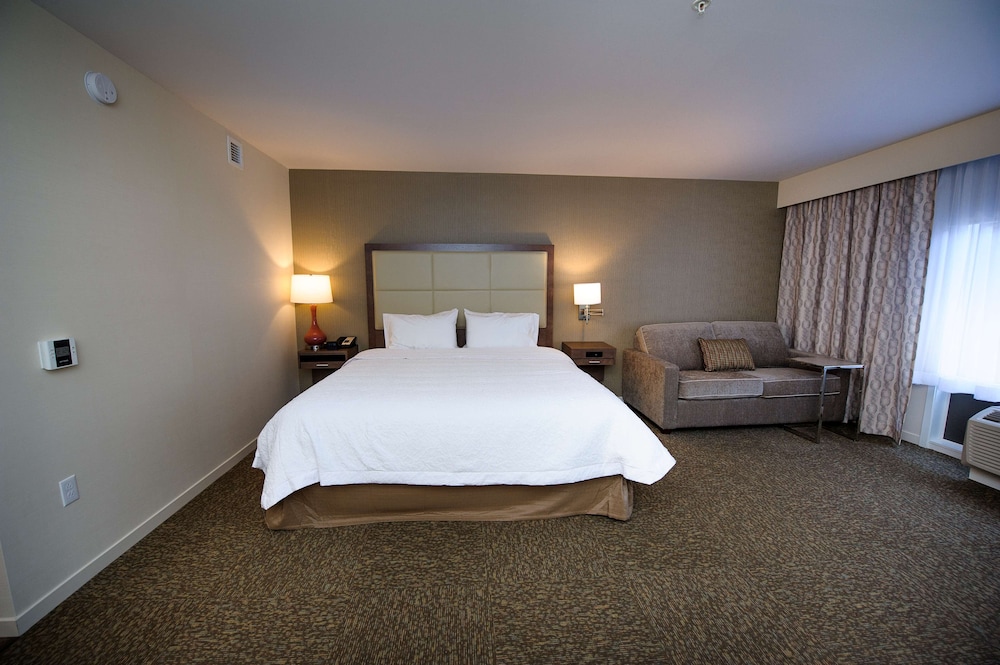 Room, 1 King Bed with Sofa bed, Non Smoking, Refrigerator & Microwave photo 2