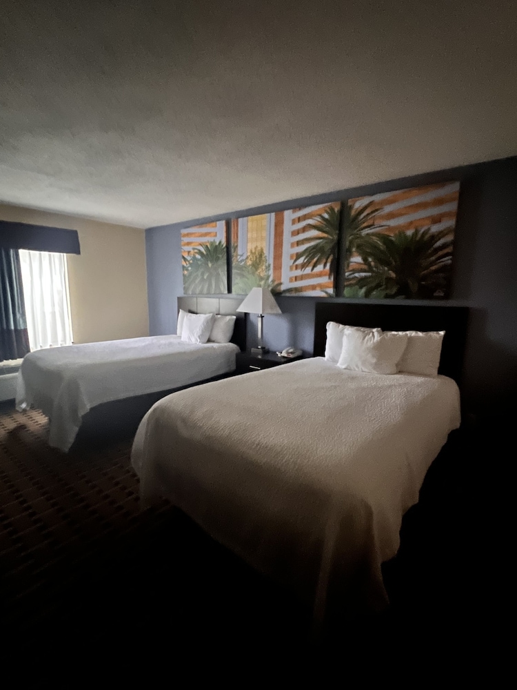 Room, 2 Double Beds, Accessible, Non Smoking (Mobility) photo 3