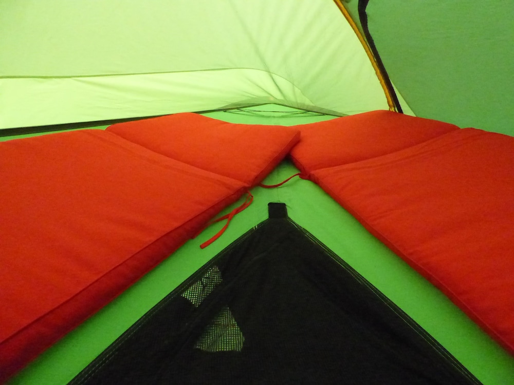 Panoramic Tree House, Multiple Beds, Non Smoking photo 2