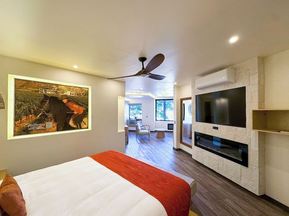 Deluxe Junior Suite photo 3