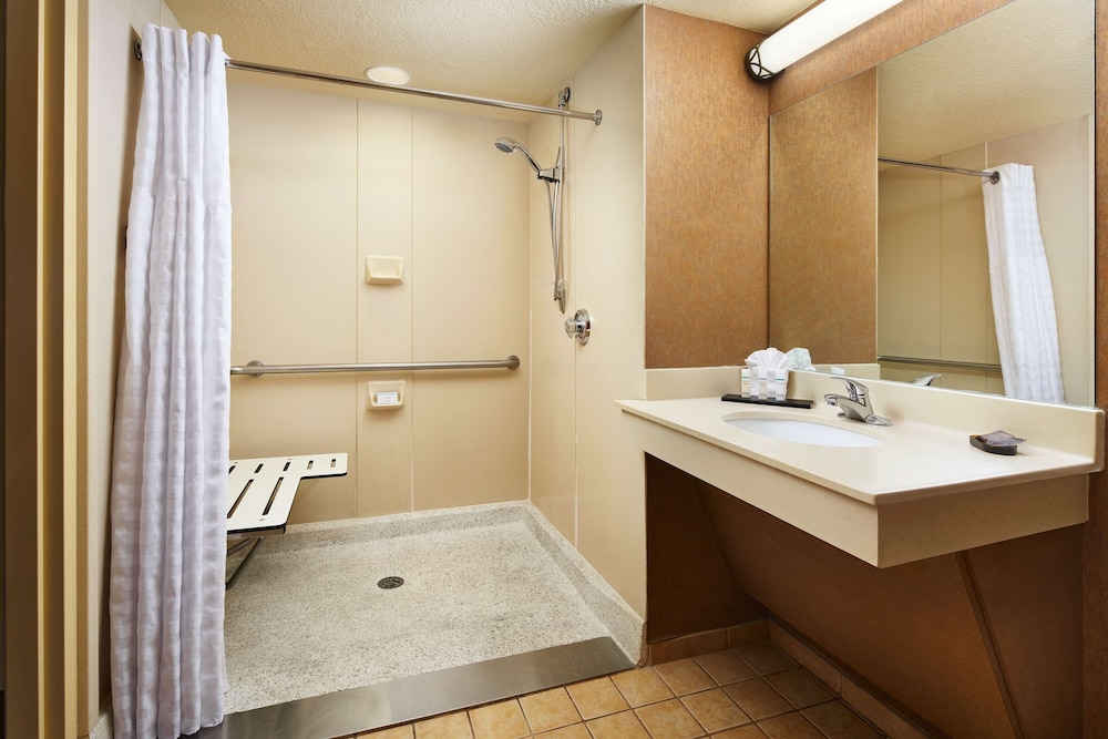 Premium Room, 1 King Bed, Accessible (Wellness, In-room air purification) - Photo 5