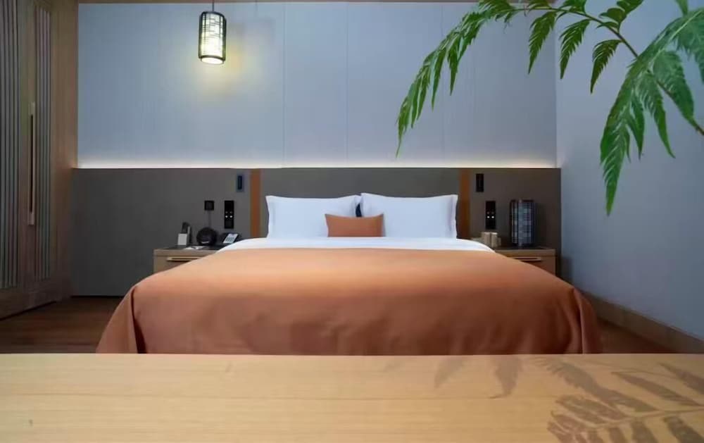 Superior Double Room, City View