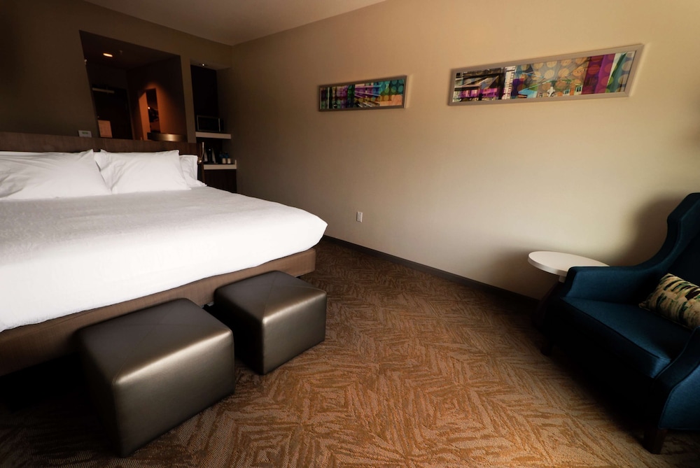 Room, 1 King Bed with Sofa bed, Accessible (Roll-in Shower) photo 2