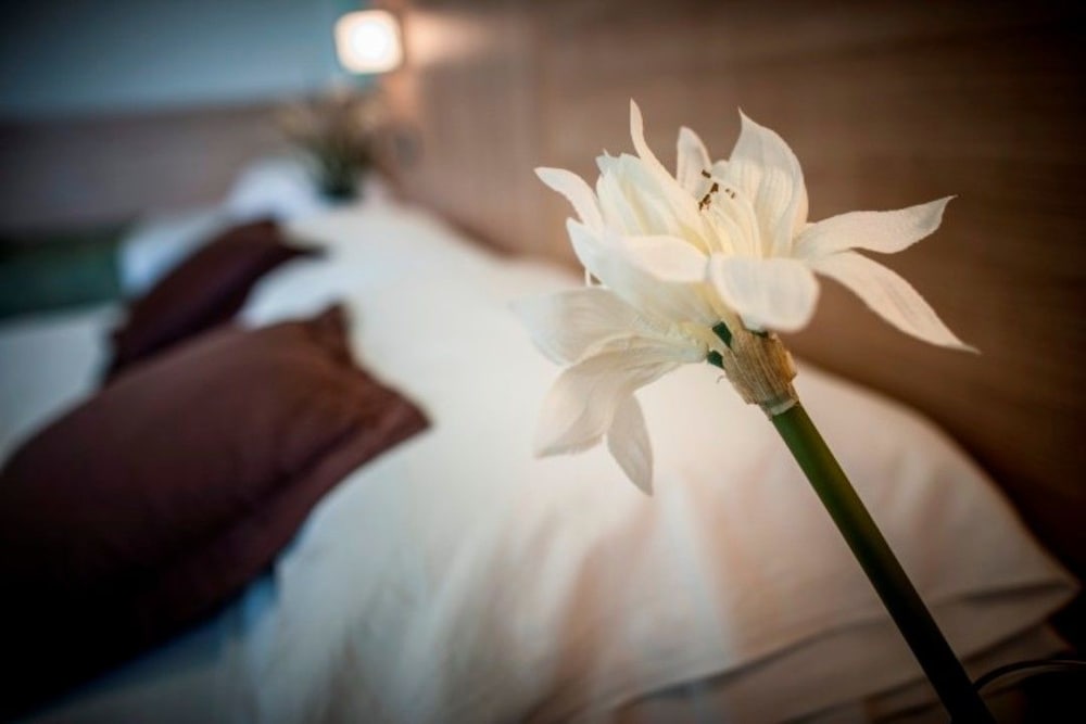 Single Room photo 2