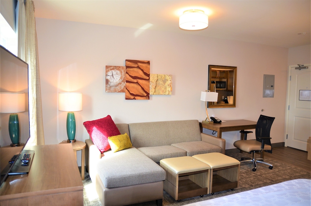 Studio Suite, 1 Queen Bed with Sofa bed, Kitchen - Photo 4