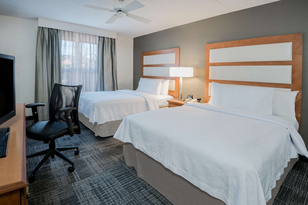 2 Doubles Suite W/Sofabed photo 1