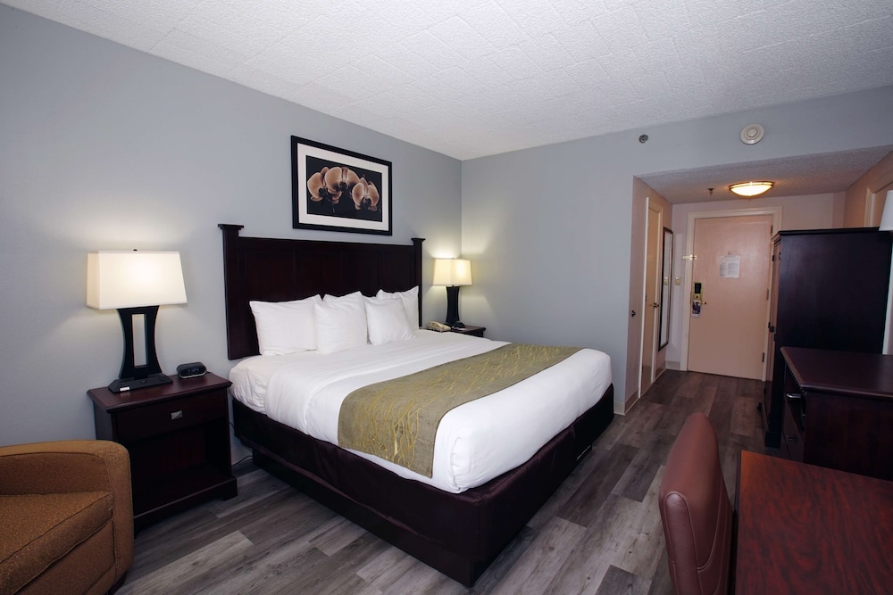 Suite, 1 King Bed, Non Smoking, Refrigerator & Microwave (with Sofabed) - Photo 3