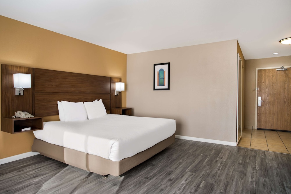 Standard Room, 1 King Bed, Accessible, Refrigerator & Microwave photo 2