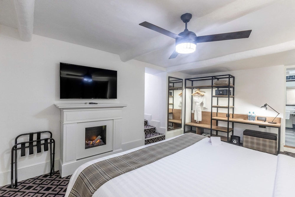 Suite, 1 King Bed - Photo 16