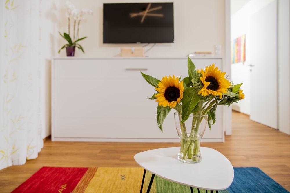 City Apartment, 1 Bedroom