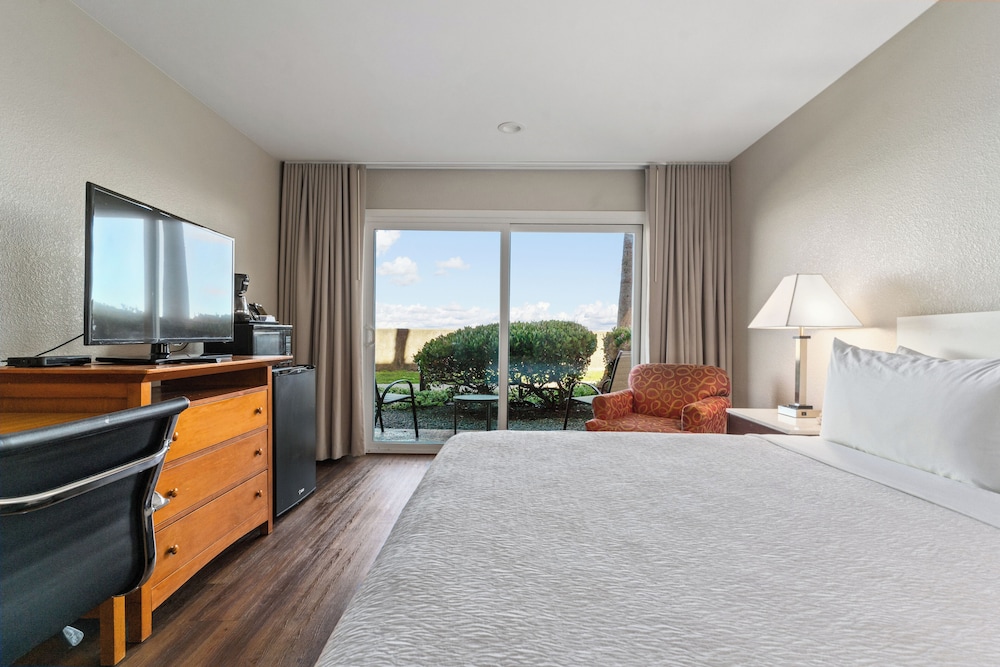 Room, 1 King Bed, Patio, Bay View photo 2