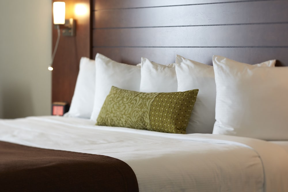 Business Room, 2 Double Beds, Non Smoking photo 2