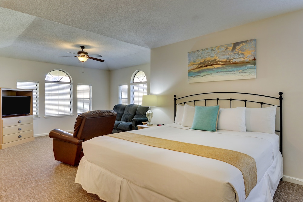Studio Suite, 1 King Bed photo 3