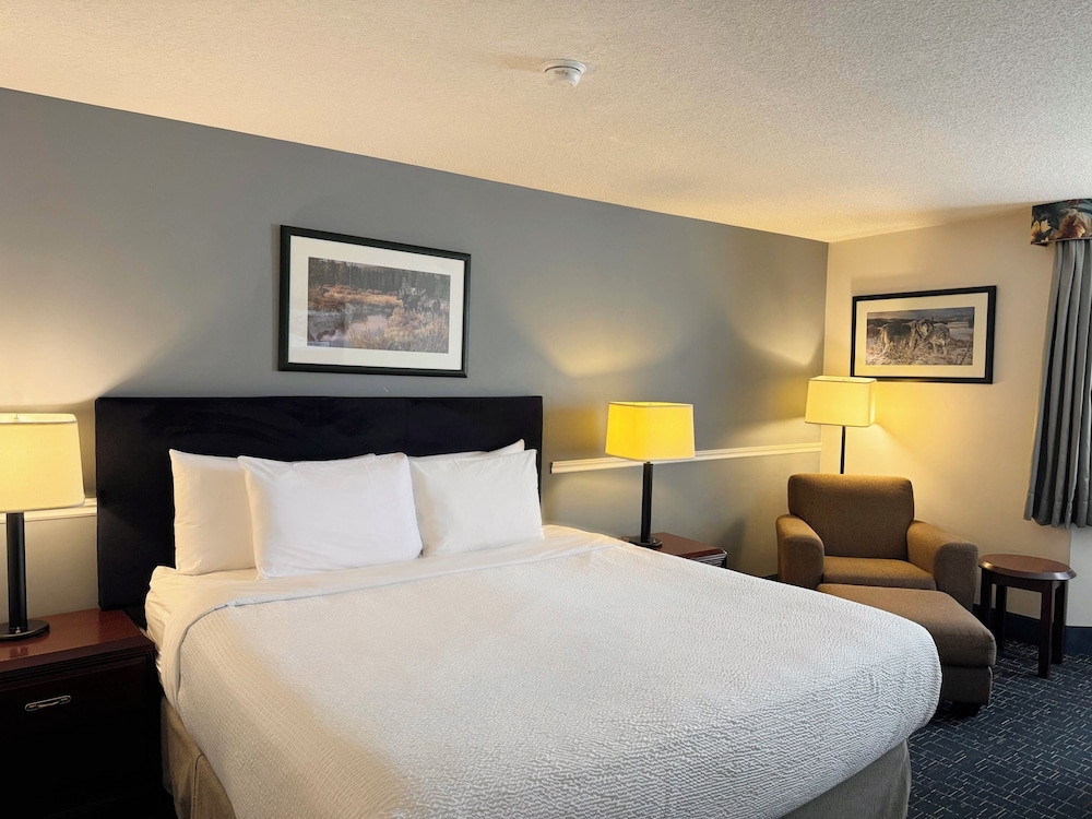 King Room - Photo 3