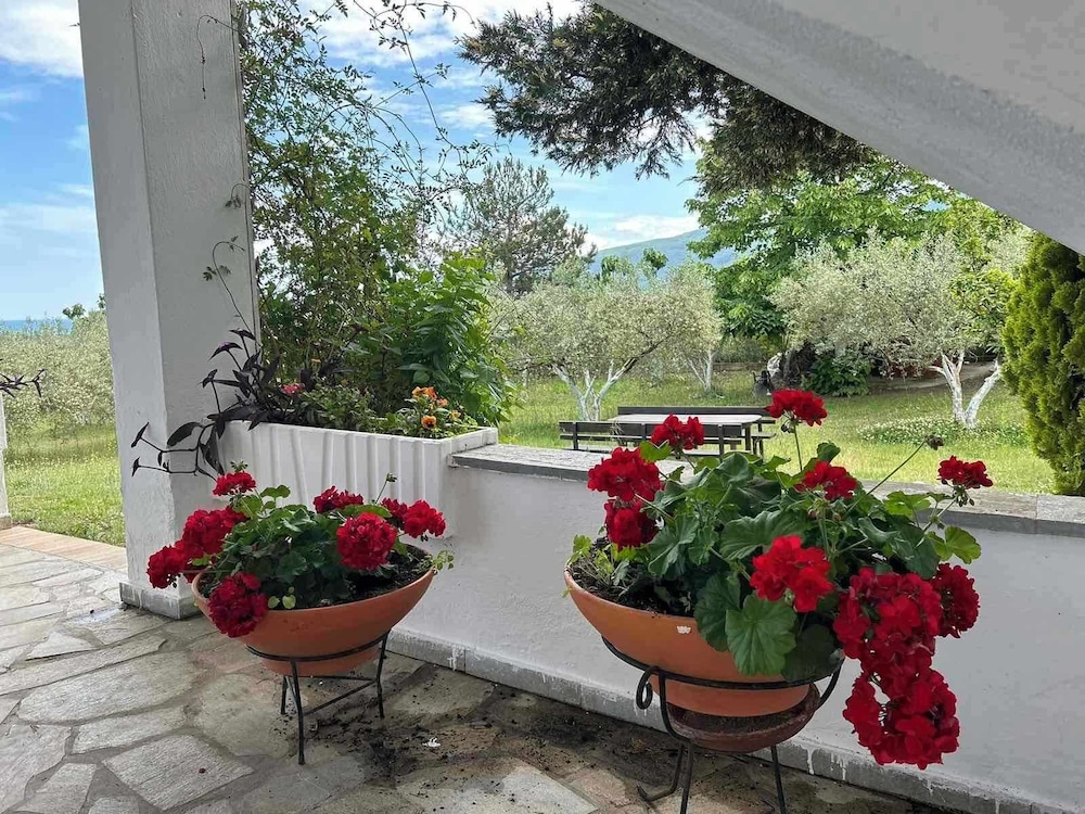 Zeusplace Olympus Olive Country House 4, Bilde 52