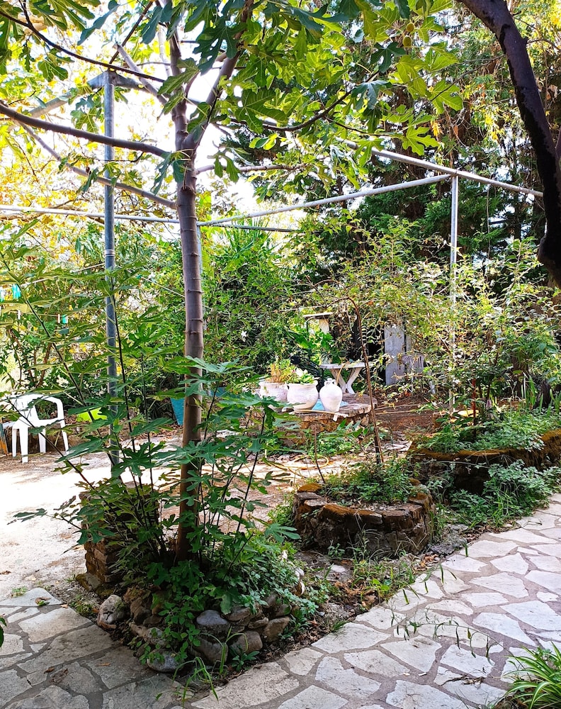 Holiday Pension Anna, Billede 10